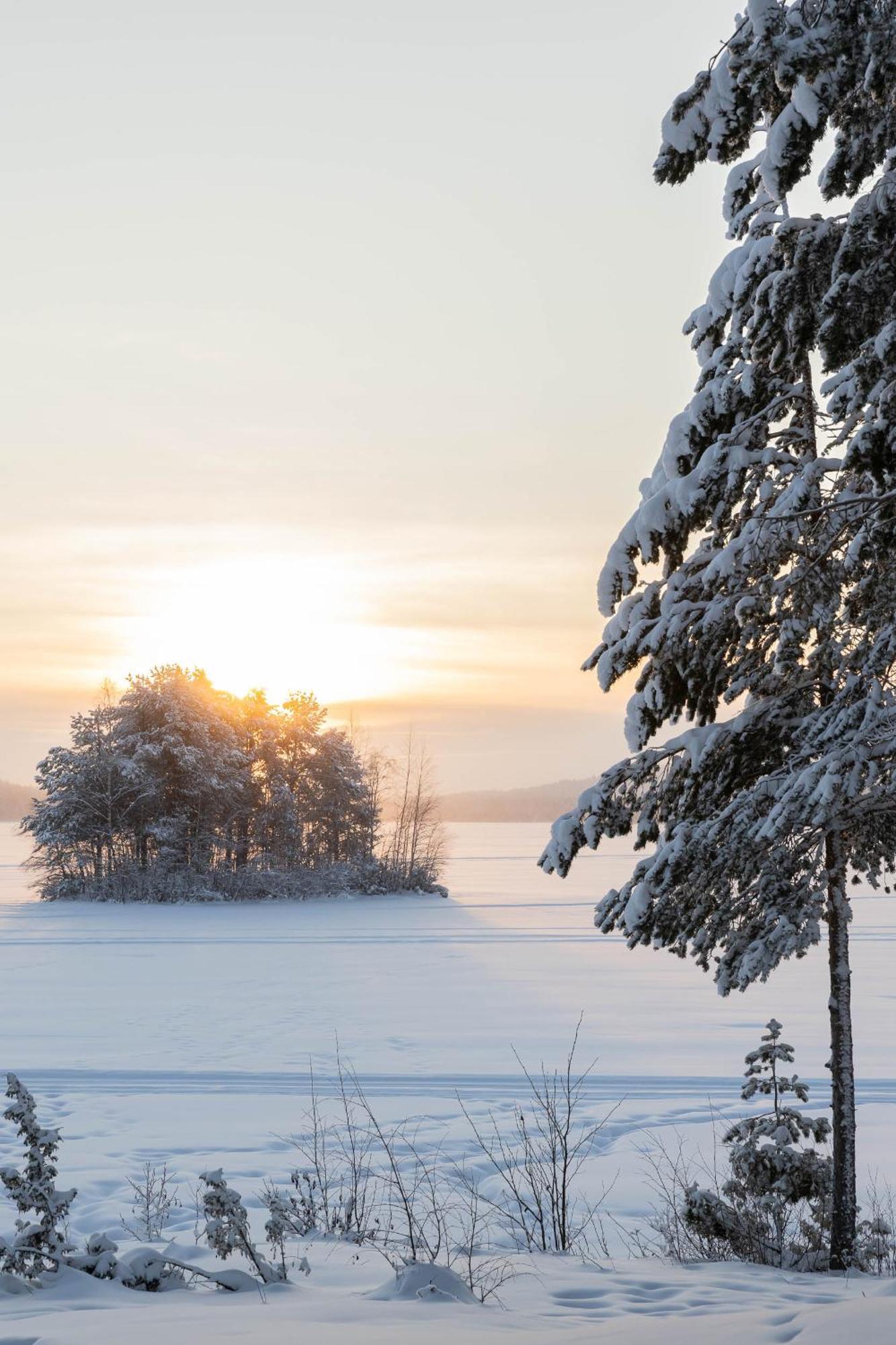 Lapland Arctic Cabins Kemijärvi Εξωτερικό φωτογραφία
