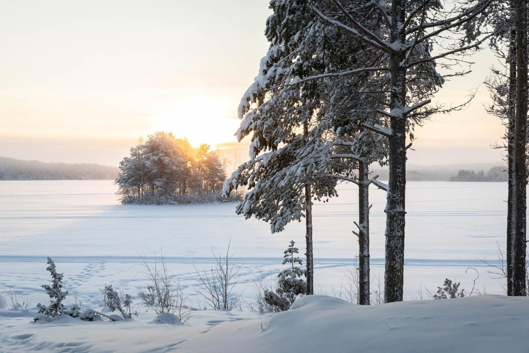 Lapland Arctic Cabins Kemijärvi Εξωτερικό φωτογραφία