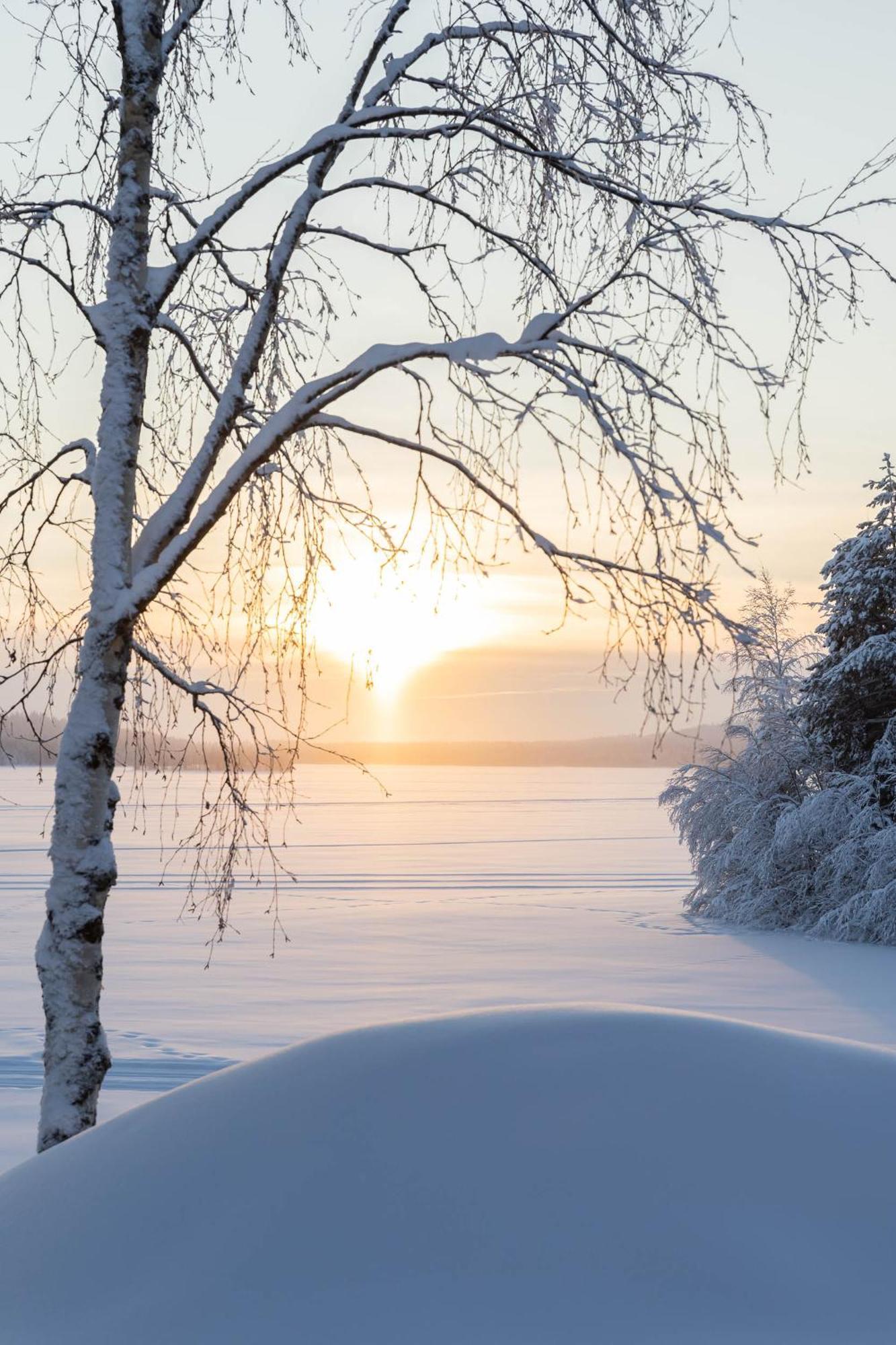Lapland Arctic Cabins Kemijärvi Εξωτερικό φωτογραφία