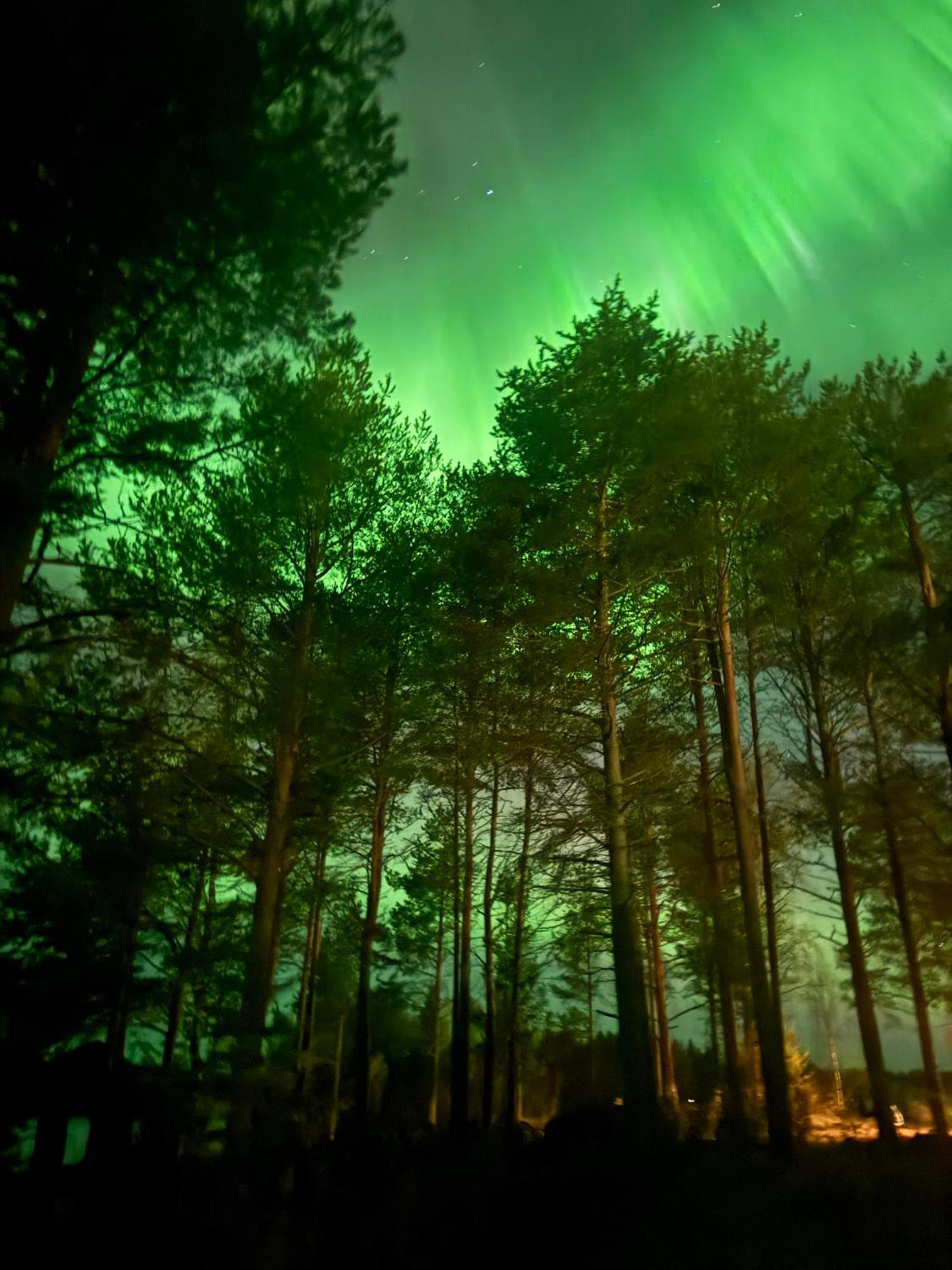 Lapland Arctic Cabins Kemijärvi Εξωτερικό φωτογραφία